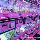 BONGBONG STATION 이미지