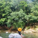 괴산부부한의원 | 괴산 여행 기록:) 물소리풍경 캠핑장 평상 , 물소리풍경 캠핑장 , 괴산 자연드림파크 숙소 추천 (feat...