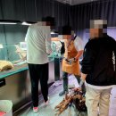 아쿠아갤러리스테이
