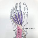 경희하늘한의원 이미지