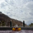수산화장실 | [제천 포레스트 리솜, 청풍호 케이블카] 4월 초 실시간 벚꽃 현황 &amp; 삼호수산 송어회, 둥지치킨