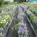 동명슈퍼 이미지