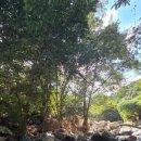 정수산장펜션 이미지