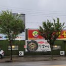 청둥이청둥오리 이미지