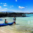 코난비치 이미지