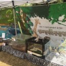 남정초등학교병설유치원 이미지