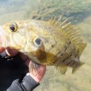 온달모텔 이미지