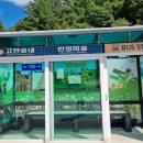 만항등산로입구 네이버블로그