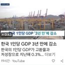 한국 일인당 지디피 감소 이미지