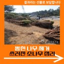 화산2리마을회관 | 뽑힌 나무 제거 쓰러진 소나무 정리