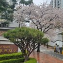 푸른마을푸르지오 | 용인 수지 성복동커튼 푸른마을푸르지오아파트 롤스크린 블라인드 #동대문커튼추천