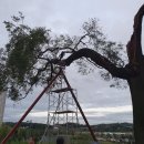 남동근린공원3 이미지