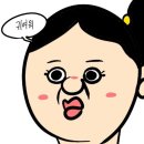 개귀여워 이미지