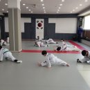 용인대 청룡 태권도 이미지