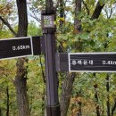 동두천-006 Daum카페