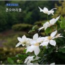 함양마천 금계마을,창원마을,산청가락국양왕 덕양전안내문 이미지