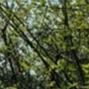 부여미소치과의원 이미지