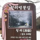 청계중앙공원 2 이미지