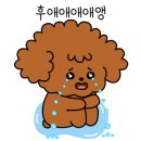 꾸꾸네 친구들 이미지