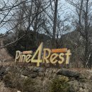 파인빌펜션 | [가평 글램핑] 파인 포레스트 다녀온 솔직 후기