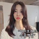 카카몽 애견미용실 | 수유역 미용실 레이어드 C컬펌 잘하는 곳 어반트랜드 수유역점(주차장/애견동반)