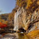 제12대 3차 산행 안내 / 순천 강천산 이미지