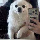 55+ 차오빠의 가요스켓치 | 시간은 참 빨라 어제와 오늘의 유행도 달라