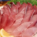 오징어 세상 이미지