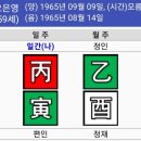 오은영 강형욱 사주 분석 이미지