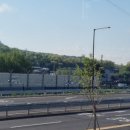 그린카센타 이미지