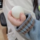 해운대센트럴호텔 이미지