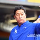 라이언스 하트 이미지