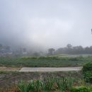 대덕건재 이미지