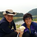 미산면사무소 이미지