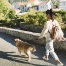 스트레스로 극복하는 마음챙김 명상 이미지