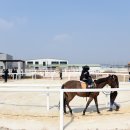 승마장 이미지
