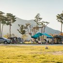 신기동78 이미지