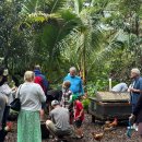 삼삼오오농장 이미지