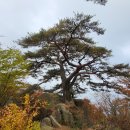 속리산(곰바위,상고암,중사자암,수정봉)/,, 속리의 가을은.. 이미지