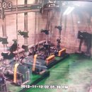 CCTV 노이즈 해결 방안 알려주시길 부탁드립니다. 이미지