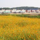 어사교차로 이미지