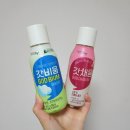 애플민트 | 갓비움 애플민트 갓채움 후기 먹는 순서 주의사항 정리