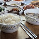 그림민박 | 안산 육도 민박 쉼터펜션 후기