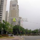 용구대로 2771번길 Daum카페