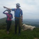 송당송당 이미지