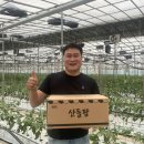 박성현농장 네이버블로그