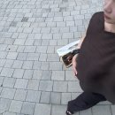 이레컴퓨터세탁 | 쌍둥이 30주 배크기 / 이대목동 전종관 교수님 / 쌍둥이 임신 후기 / 임신 후기 증상 / 쌍둥이 30주 몸무게