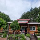 소금강늘벗 이미지