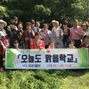 숲 걷기 명상 이미지