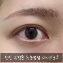 다니브로우 - 천안시 서북구 | 다니브로우